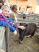 DSCN1516.JPG