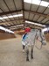 DSCN1538.JPG