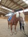 DSCN1576.JPG