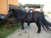 DSCN1613.JPG