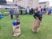 IMG_20210924_165557_1.jpg