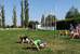 received_237867370999510.jpeg