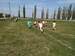 received_347168173304597.jpeg