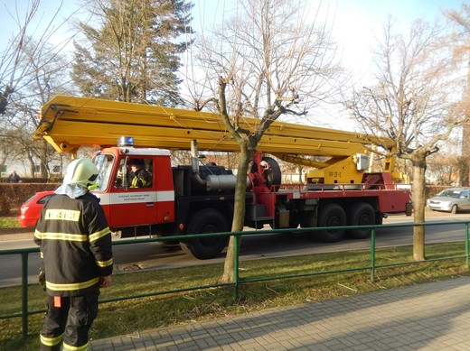 DSCN1075.JPG