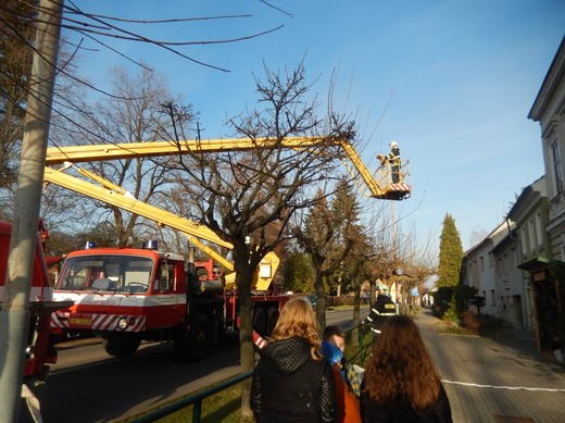DSCN1088.JPG