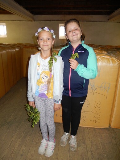 DSCN1502.JPG