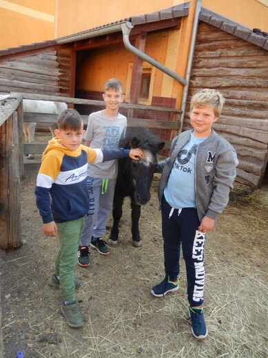 DSCN1611.JPG