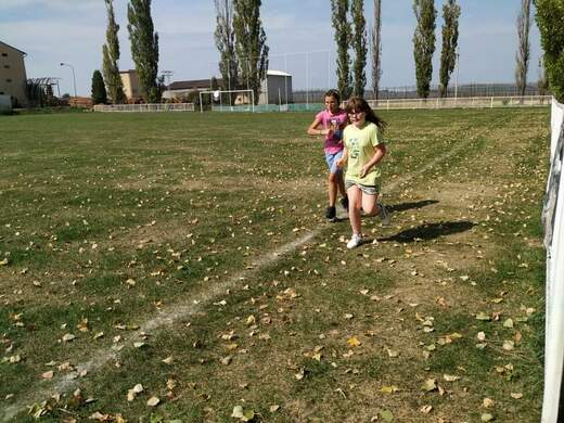 received_245512626788133.jpeg
