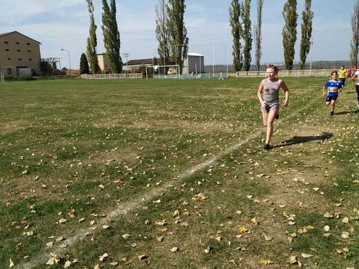 received_320428622576534.jpeg